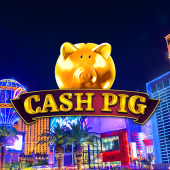 Cash Pig logo