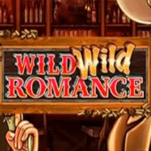 Wild Wild Romance logo