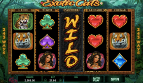 Exotic cats microgaming 