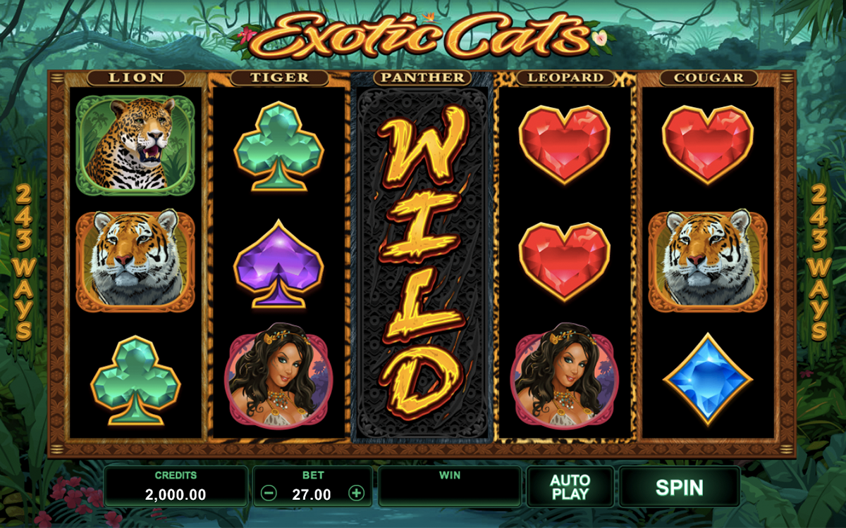 exotic cats microgaming 