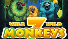 Logo 7 monkeys pragmatic 