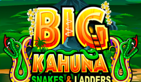 Logo big kahuna snakes and ladders microgaming 1 