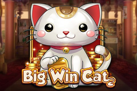Logo big win cat playn go 2 