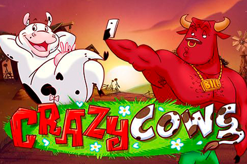Logo crazy cows playn go 1 