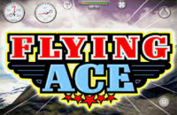 Logo flying ace microgaming 