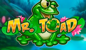 Logo mr toad playn go 