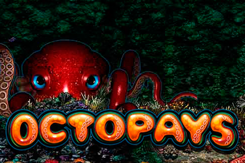 Logo octopays microgaming 1 