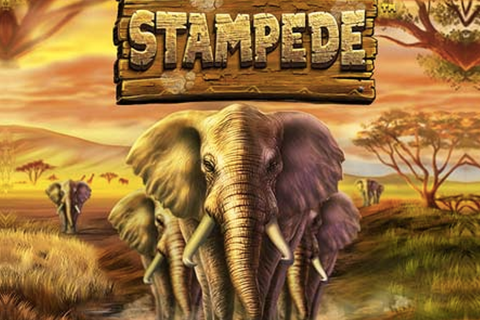 Logo stampede betsoft 2 