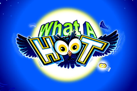 Logo what a hoot microgaming 2 