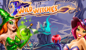 Logo wild witches netent 