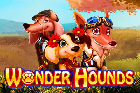 Logo wonder hounds nextgen gaming 2 