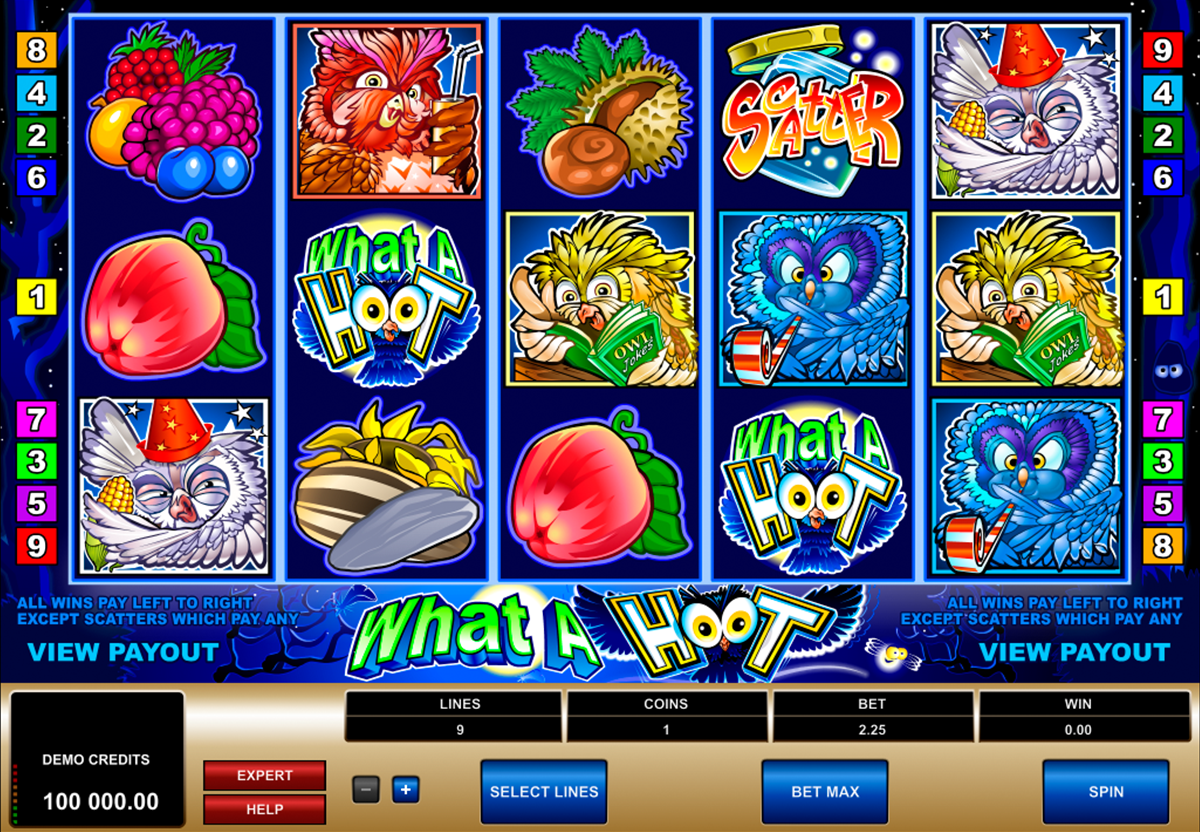 what a hoot microgaming 