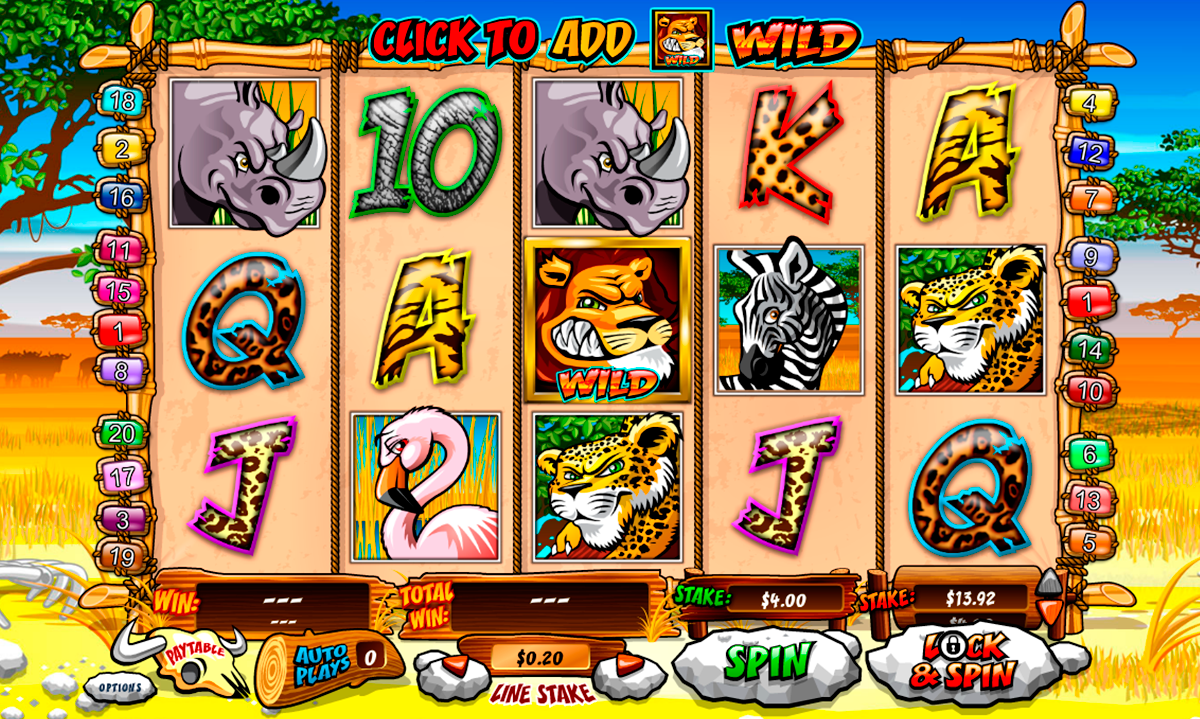wild gambler playtech 