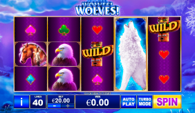 Wolves playtech 